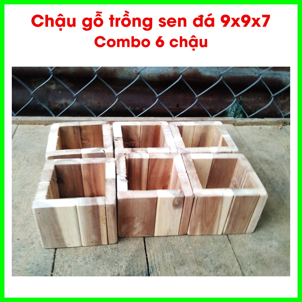 Combo 6 chậu gỗ trồng sen đá 9x9x7 Greenhouse -Ngôi Nhà Xanh