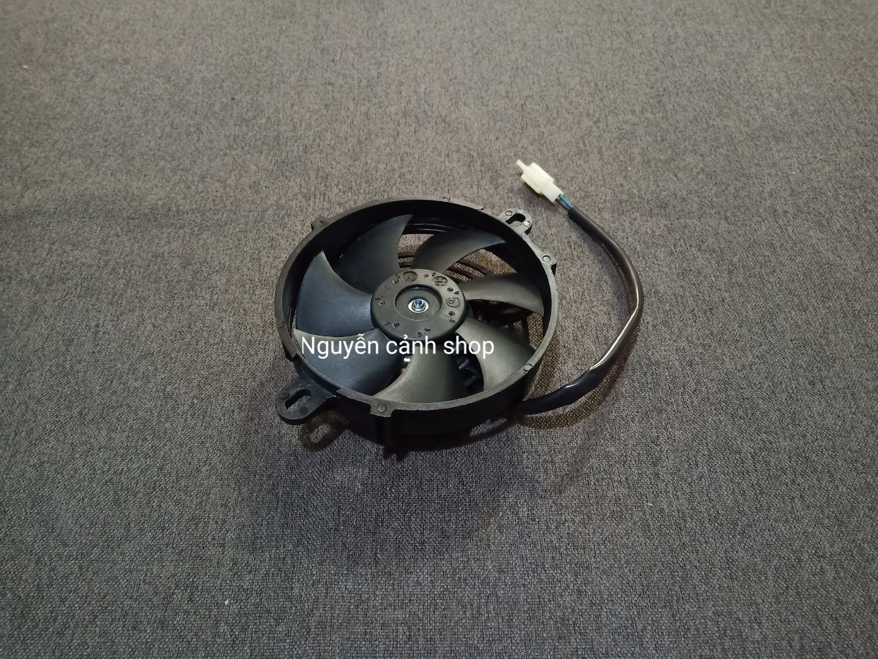 quạt két nước winner