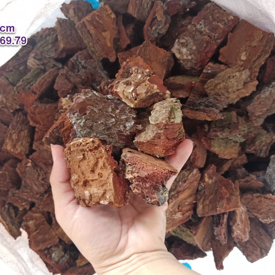 1kg vỏ thông trồng lan băm kích thước 3-4cm - Giá thể trồng lan hàng chuẩn