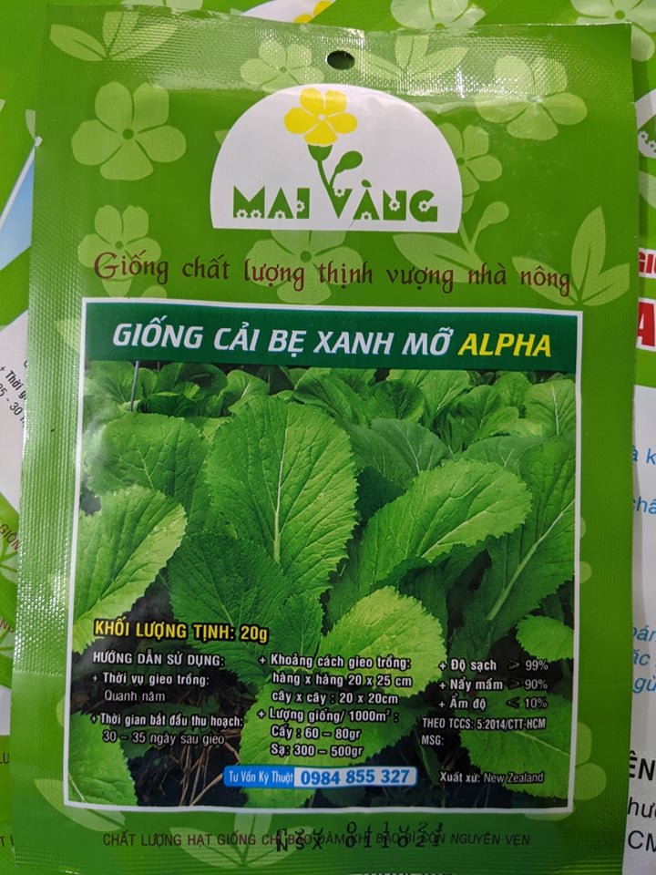 Hạt giống cải bẹ xanh mỡ 20g và cải bẹ xanh baby