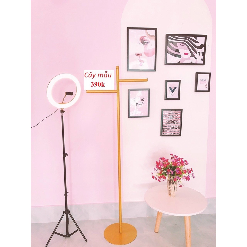 Kệ treo quần áo, cây treo quần áo mẫu livestream