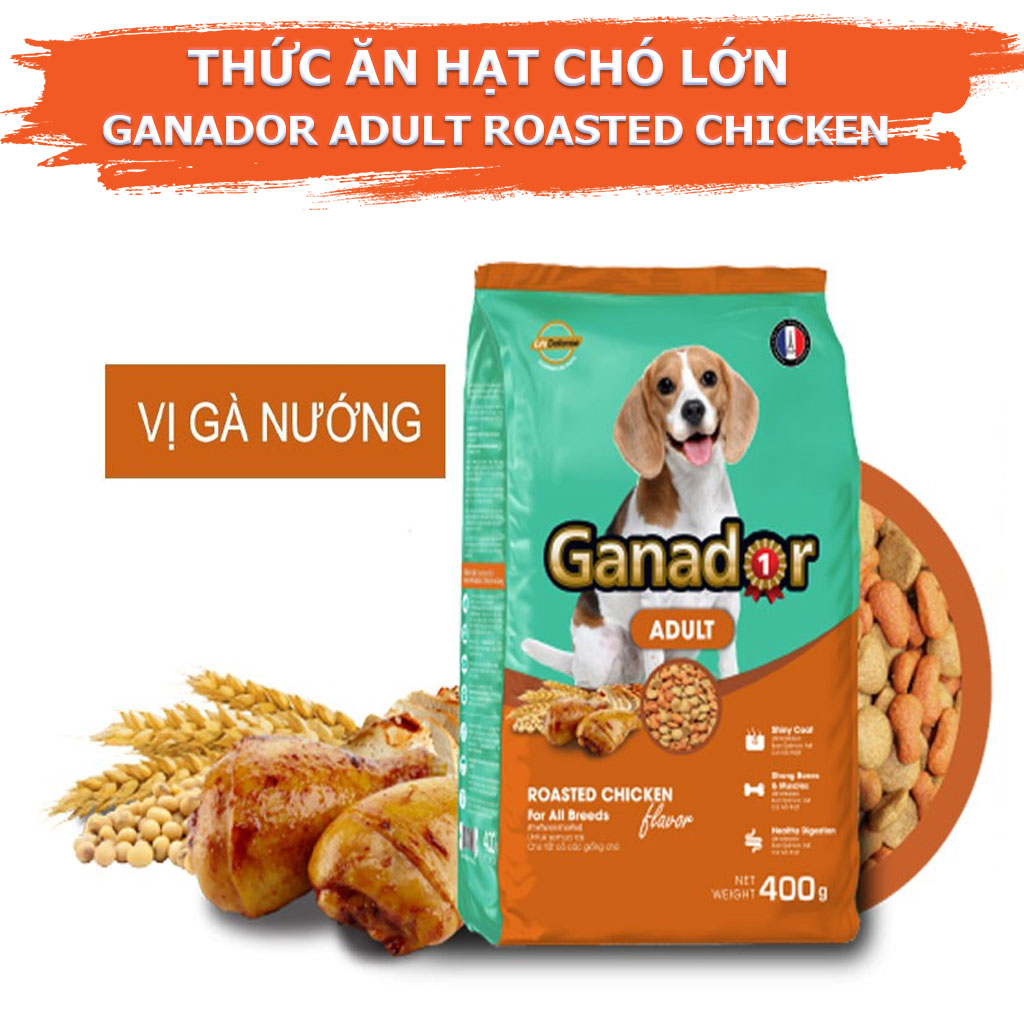 Thức ăn hạt Ganador vị Gà Nướng dành cho Chó