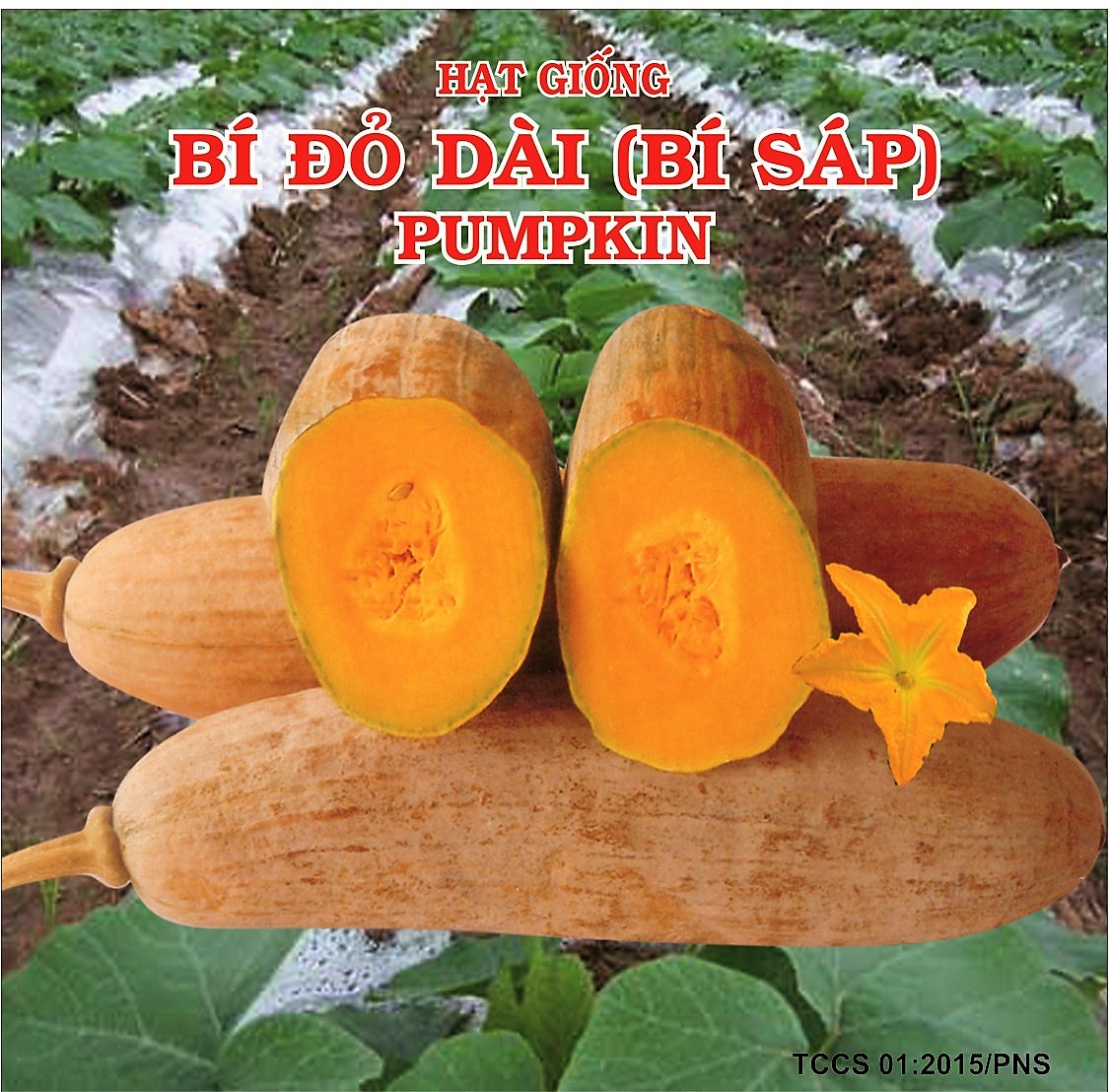 [HCM]HẠT GIỐNG BÍ ĐỎ DÀI BÍ SÁP GÓI 10GRAM .