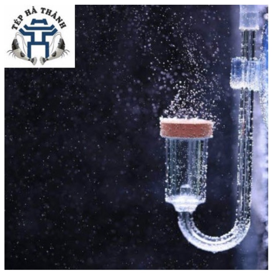 [Hoàn Tiền 10%] Cốc Sủi CO2 Acrylic Ebi - Cốc Sủi Gốm Siêu Mịn, Giá Rẻ Cho Bể Thủy Sinh - size M