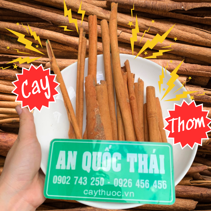 1kg vỏ quế khô, quế thanh khô cay thơm tự nhiên, vỏ quế gia vị nấu ăn