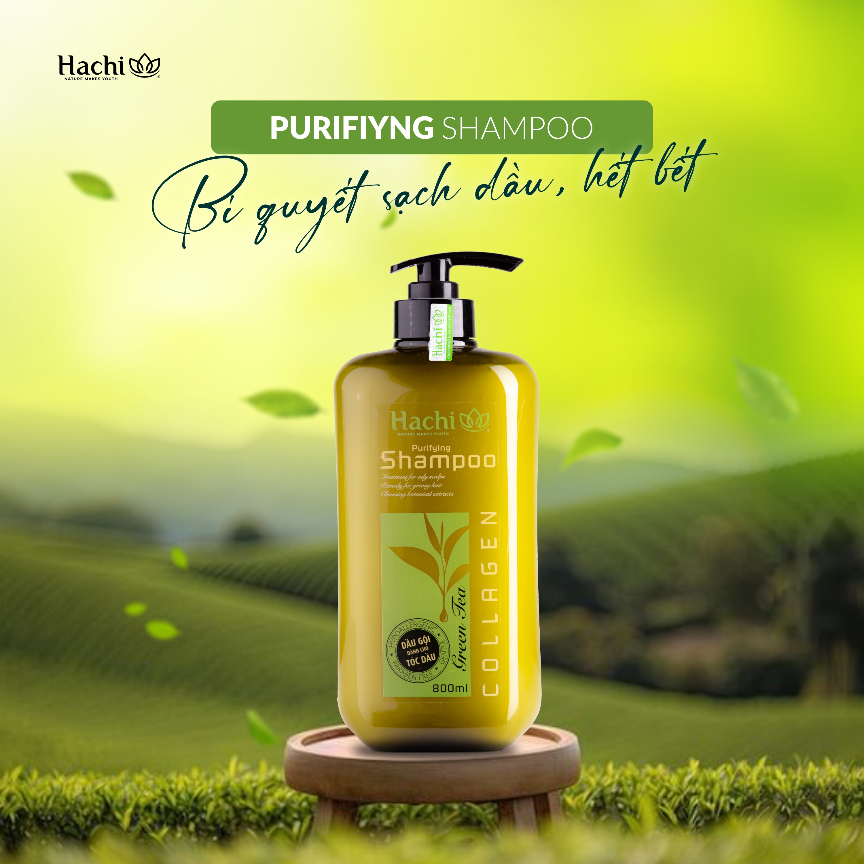 Dầu gội trà xanh dành cho tóc dầu greentea - hachi vietnam