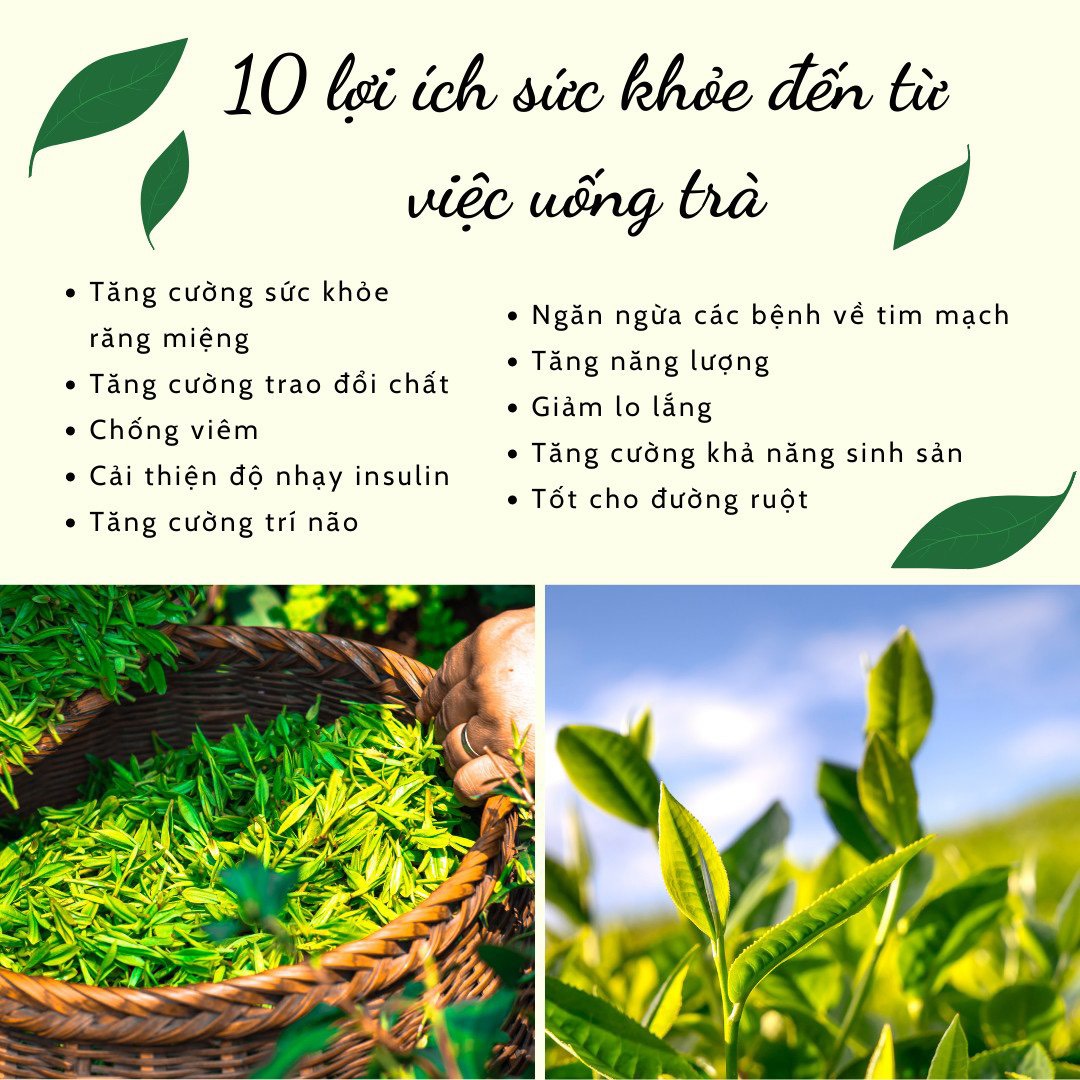 Ích thanh trà_ thiên sư