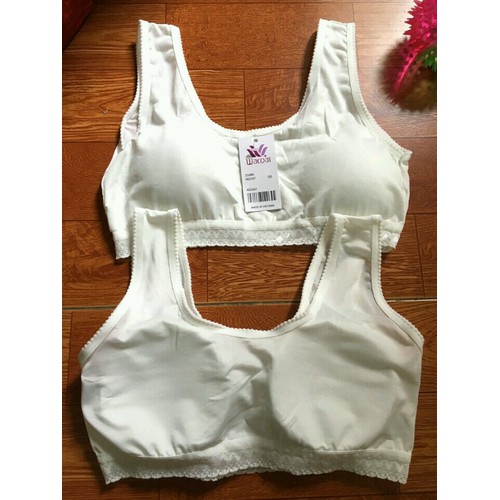 Combo 2 áo lá học sinh mã 668