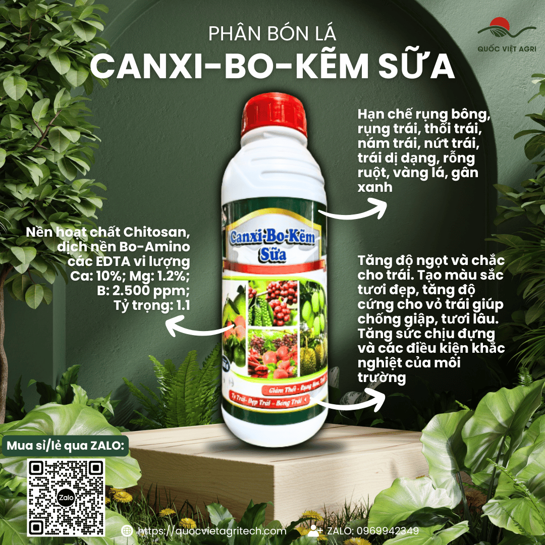 Phân bón lá SIÊU CANXI BO KẼM SỮA (chai 1 LÍT) - Giảm thối và rụng hoa trái, To trái, Đẹp trái