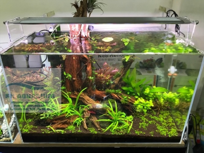 [HOÀN TIỀN 10%]ĐÈN LED WEEK RAPTOR RGB D45CM