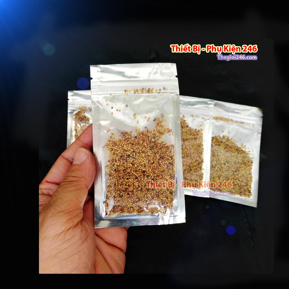 Hạt giống thủy sinh Cây Clover cỏ Ba lá tình yêu