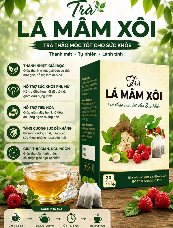 Trà túi lọc mâm xôi - Bầu đất 30 gói 3gam