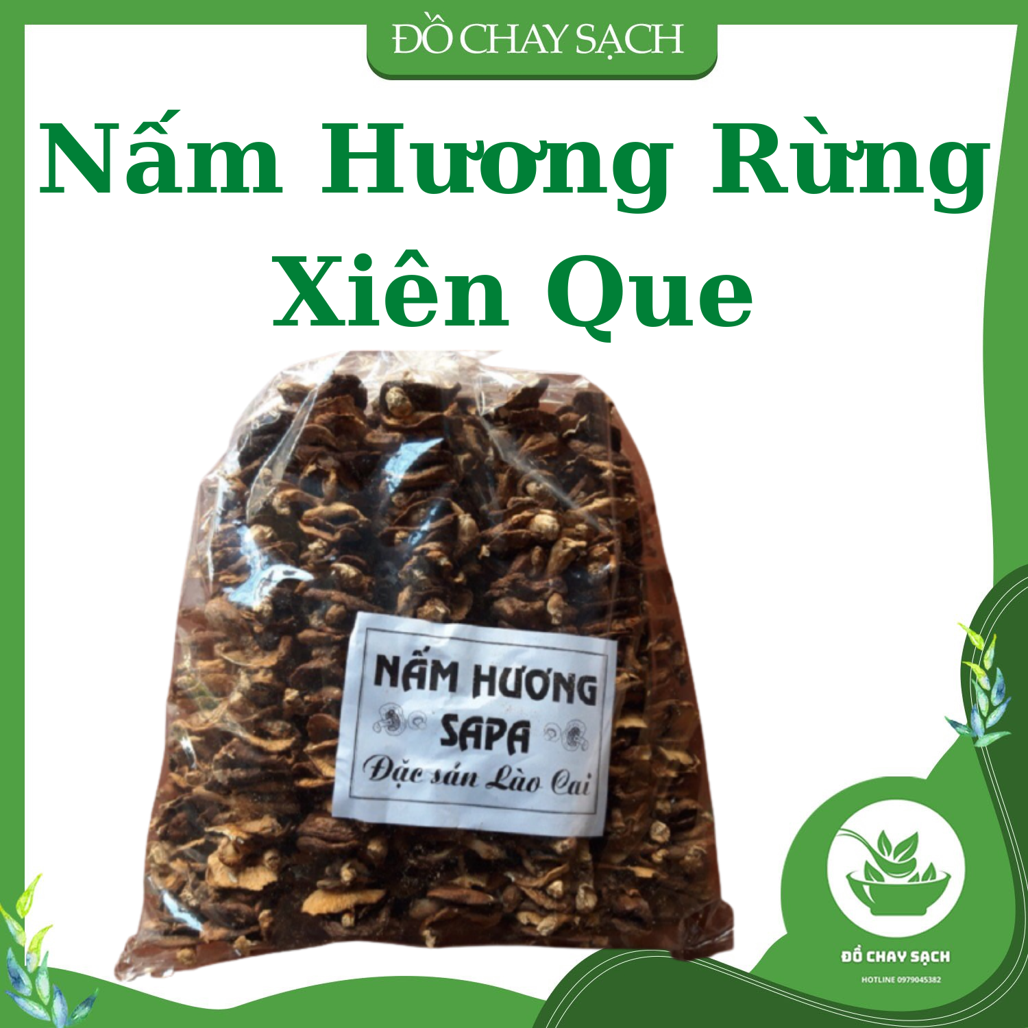 Nấm hương rừng ❤️ dai / thơm ngon khó cưỡng - Nấm hương rừng khô Tây Bắc chuẩn 100% - Gói 200g