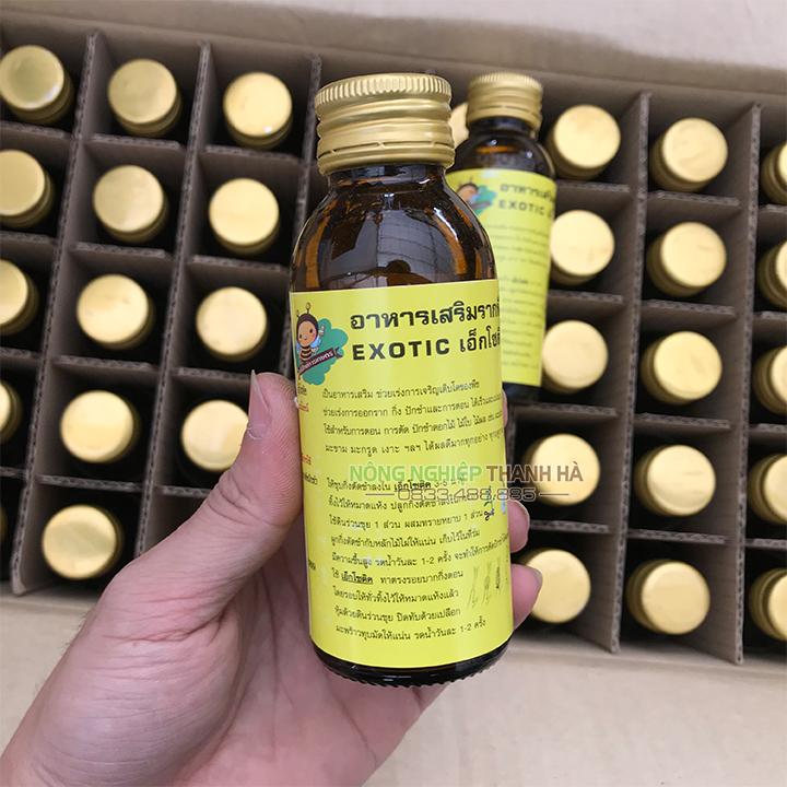 Kích rễ Exotic Thái Lan chuyên giâm chiết cành - Lọ 100ml