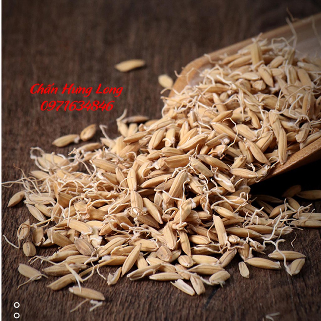 Mạch Nha 100g - đông y chấn hưng long