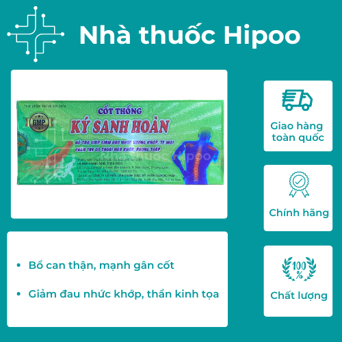 Cốt Thống Ký Sanh Hoàn - giảm đau nhức xương khớp, mạnh gân cốt