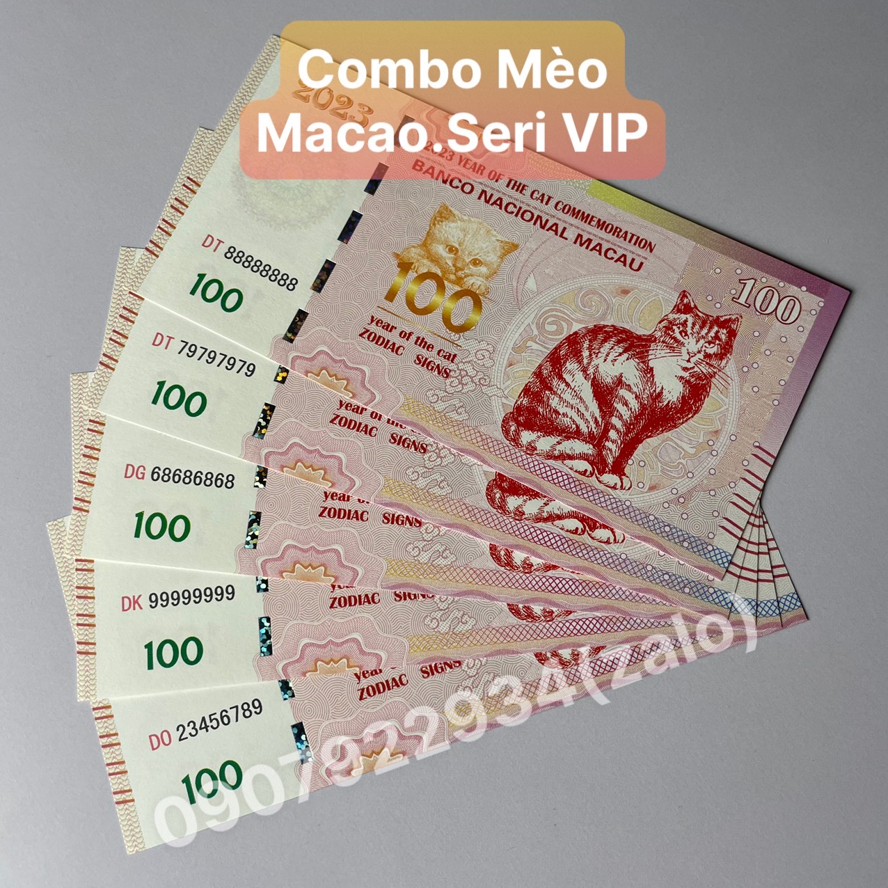 Combo mèo macao lì xì tết quý mão 2023