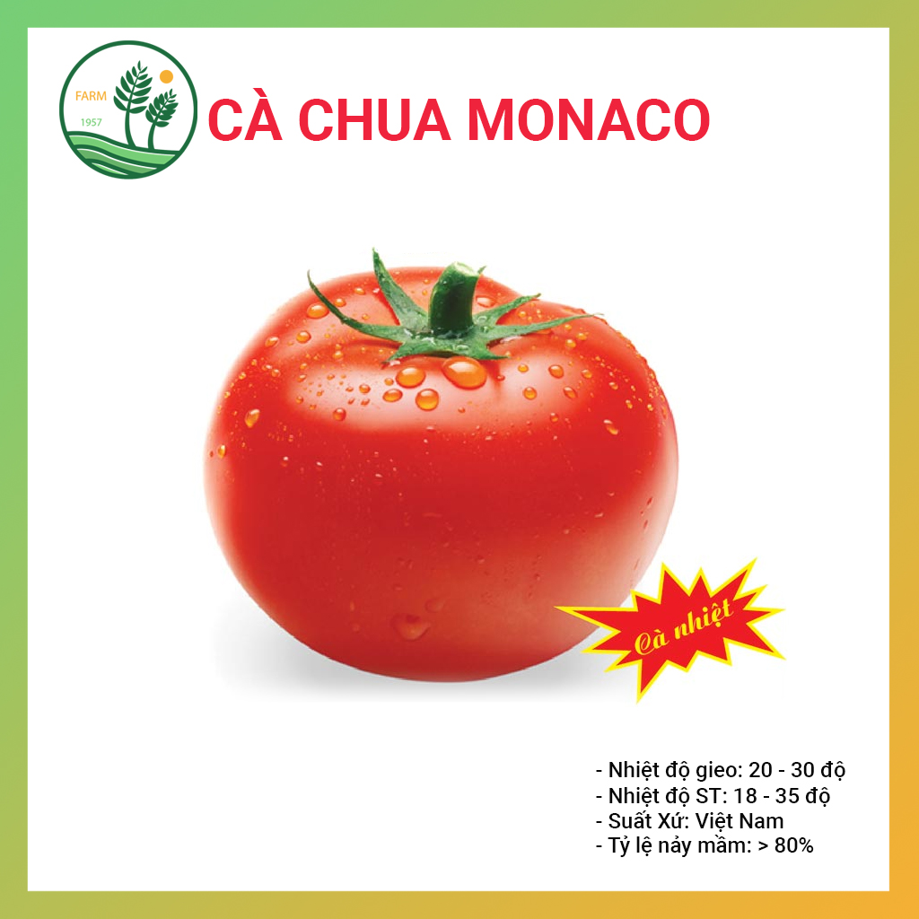 Hạt giống cà chua monaco chịu nhiệt f1 - 5g