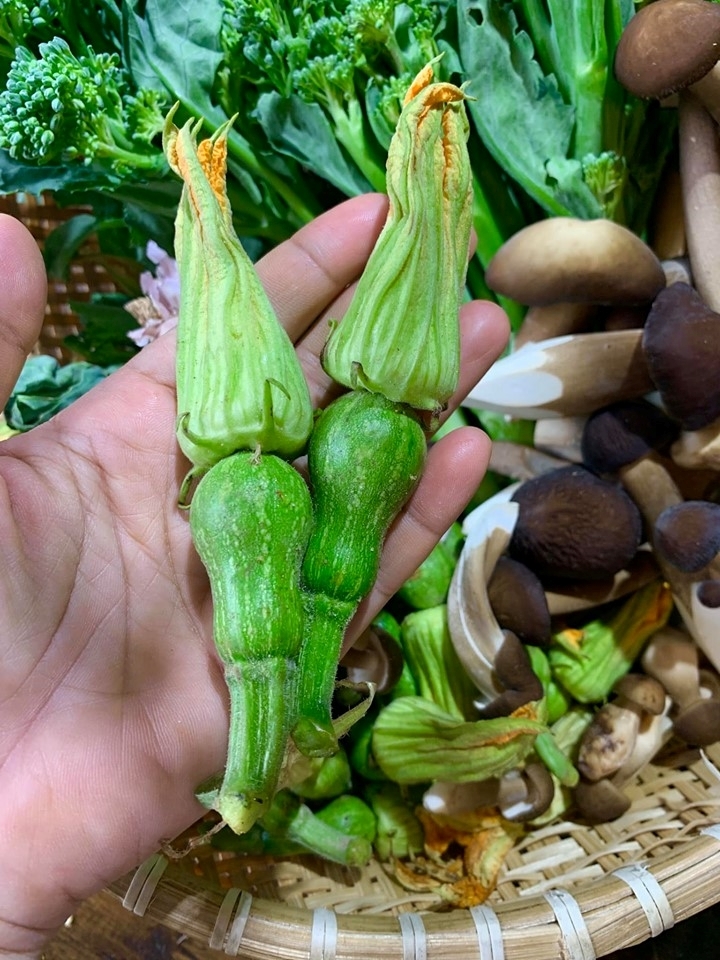 Hạt Giống Bí Ngô Ngồi Siêu Nụ