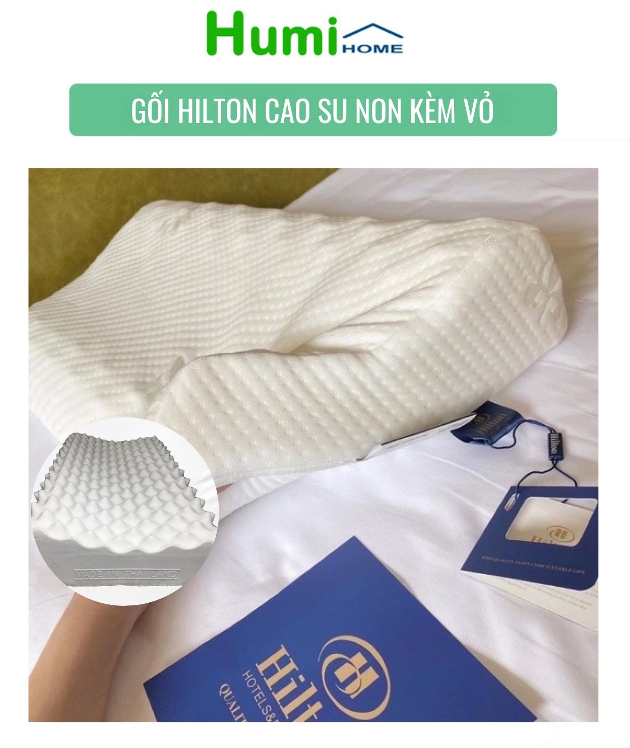 Gối cao su non hilton chống đau mỏi vai gáy mềm mại, êm thoáng khí