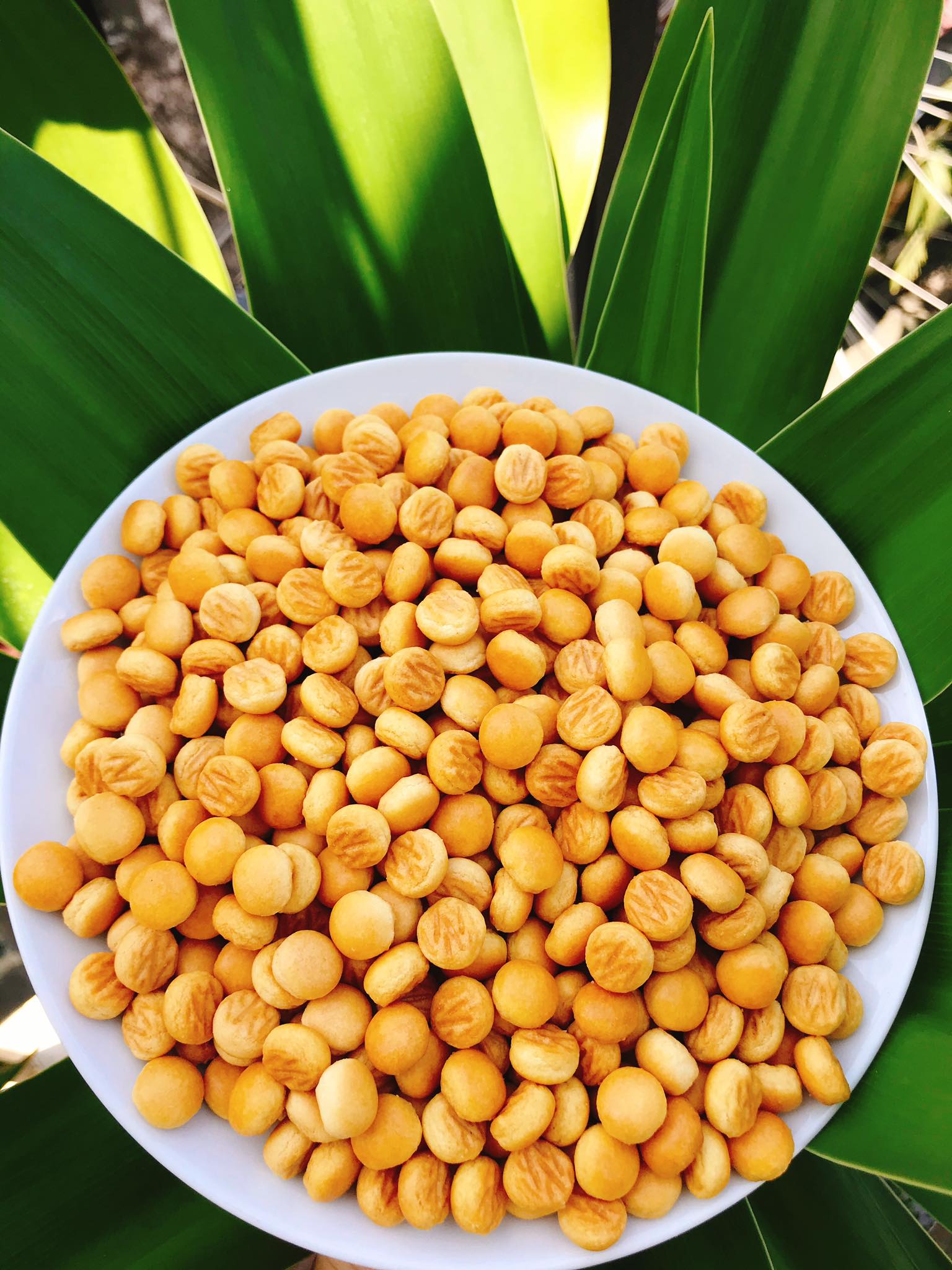 [HCM]BÁNH HẠT NGỌC VỊ BƠ