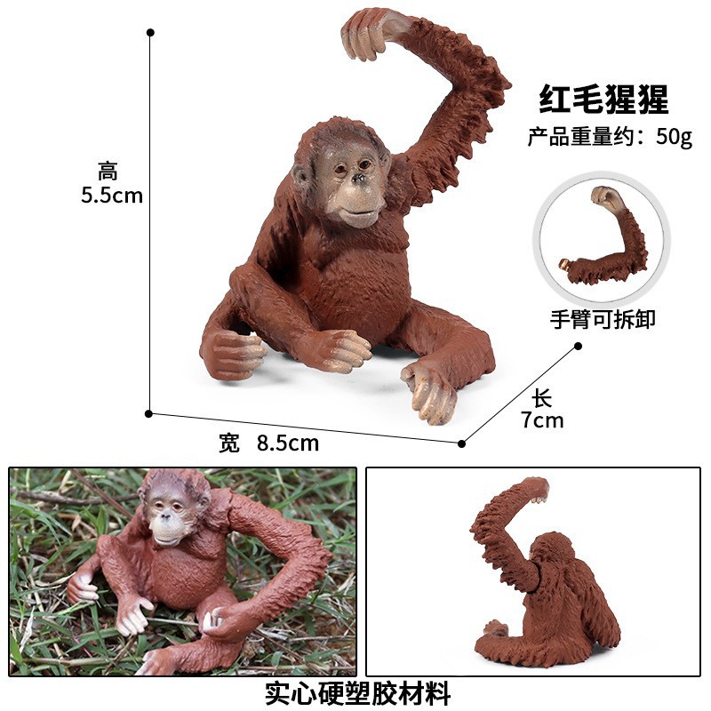 Mô Hình Động Vật Rắn Hổ Hoang Dã Sư Tử Ngựa Bò Hươu Bắc Cực Gấu Mô Phỏng Nhận Thức Đồ Trang Trí Động Vật Đồ Chơi Trẻ Em
