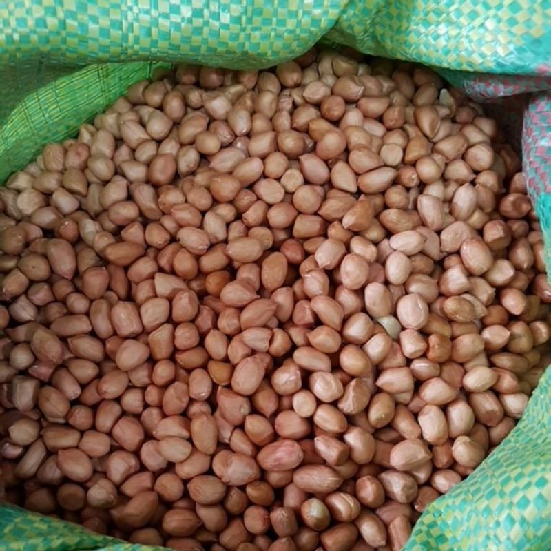 1KG Hạt đậu phộng nhà thơm ngon, đậu phộng không ngâm hay tẩm hóa chất, đậu phộng nhà trồng