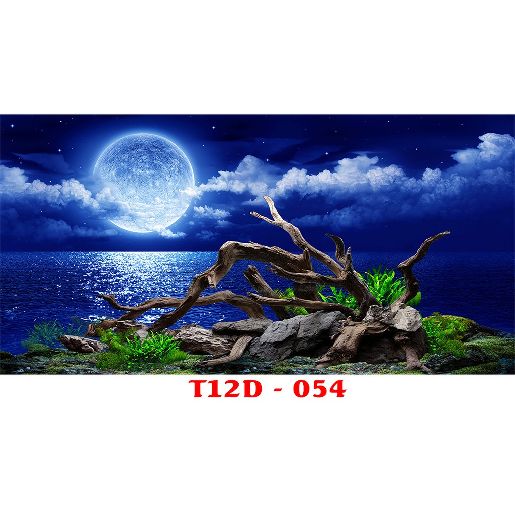 Tranh 3d bể cá t12d-054 kt
