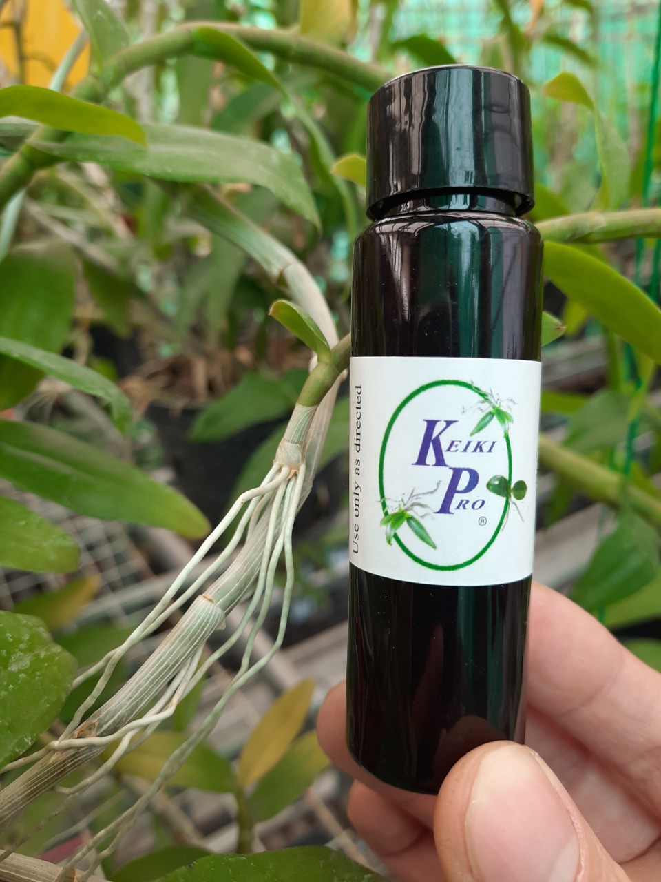 Kích Ki Pro Mỹ 15ml, kích mầm hoa lan