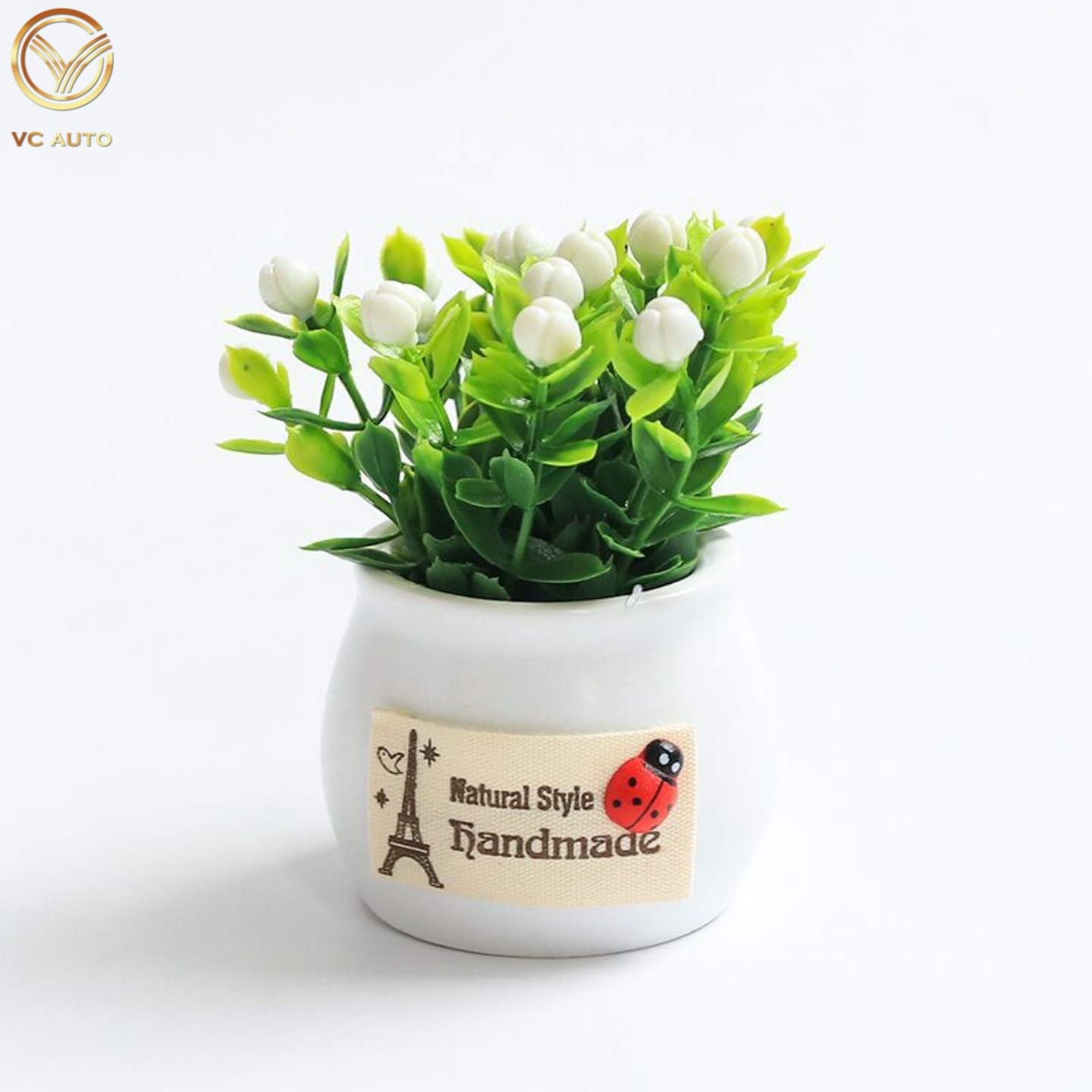 Chậu cây mini trang trí Taplo xe hơi, ô tô, bàn làm việc