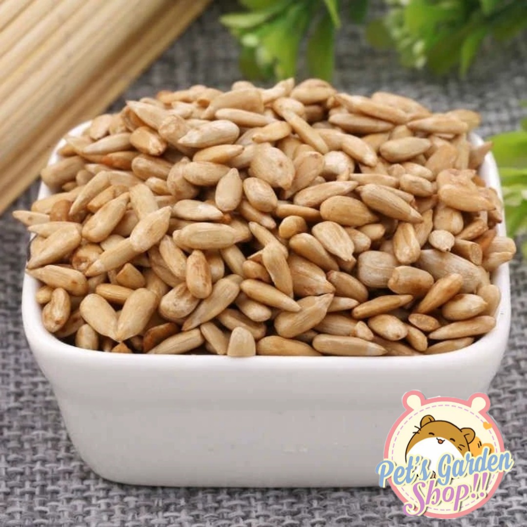 Hạt hướng dương tách vỏ - Thức ăn cho hamster
