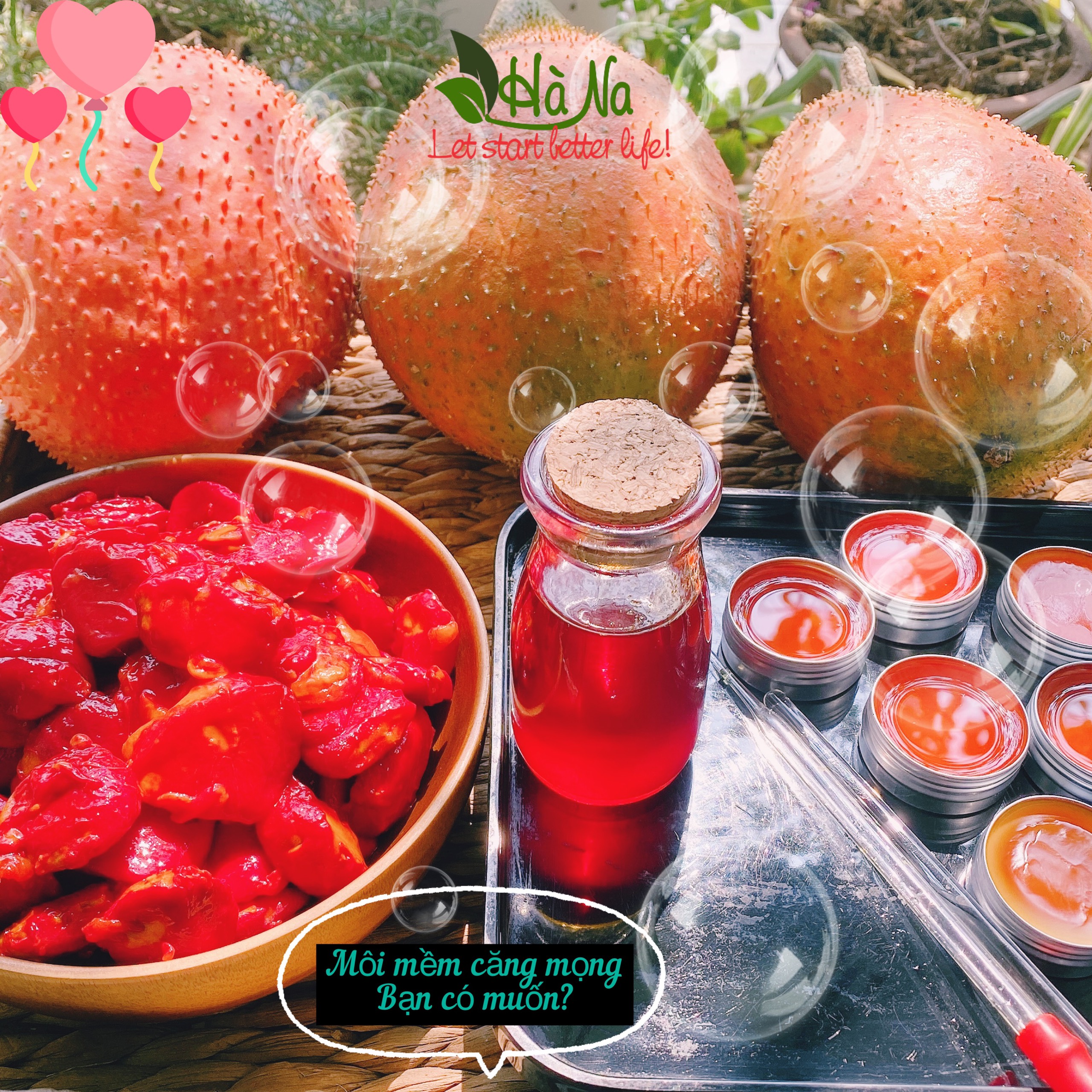 Son Dưỡng Môi Gấc - Lip Palm Gấc - Tinh Dầu Hà Na - Dưỡng mềm môi, hết thâm chì, thơm vanlli madagascar