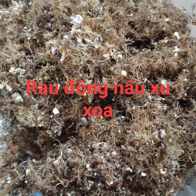 100gr rong biển nấu xu xoa - Đảo Lý sơn Quảng ngãi
