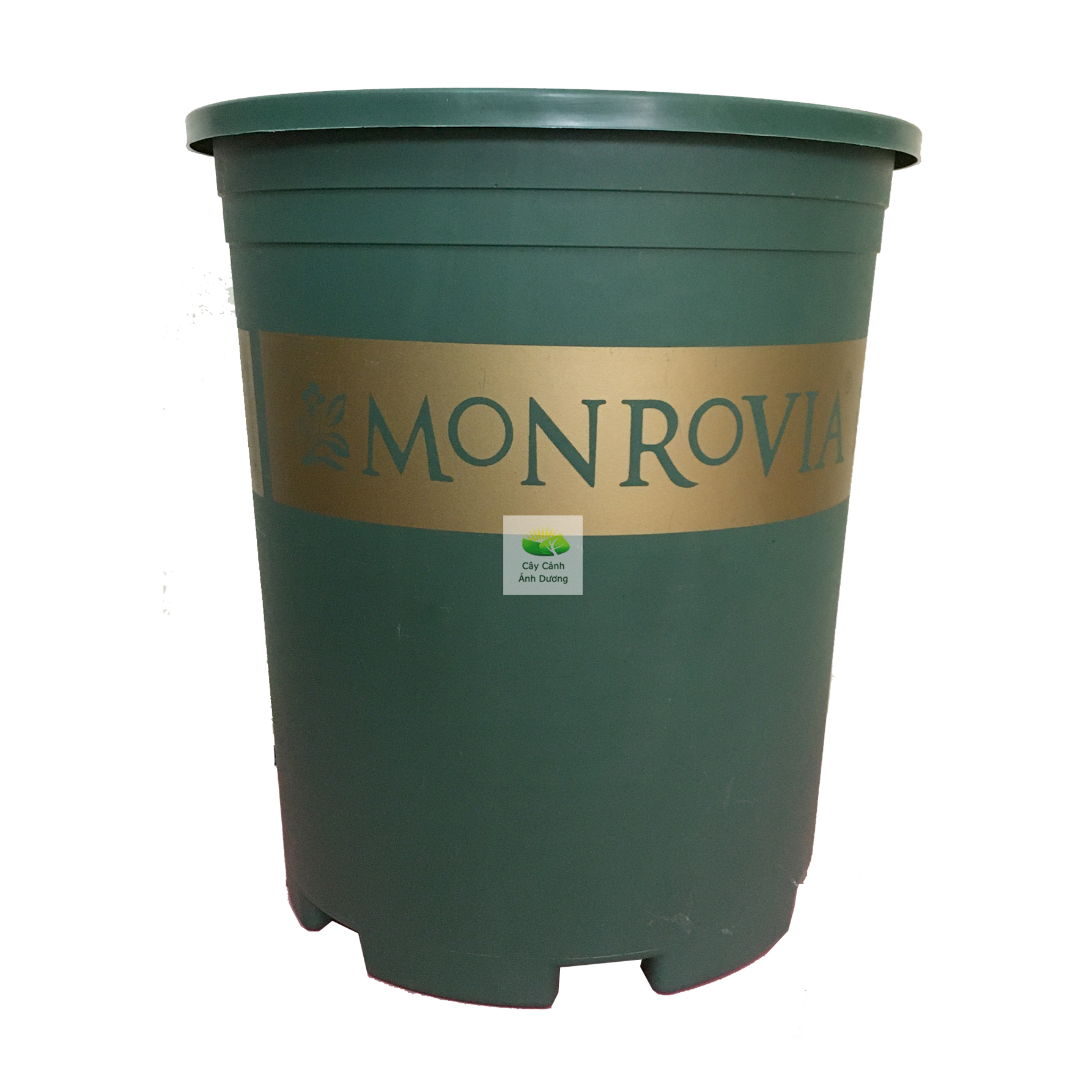 Chậu trồng cây Monrovia, chậu hoa hồng 5 Gallon