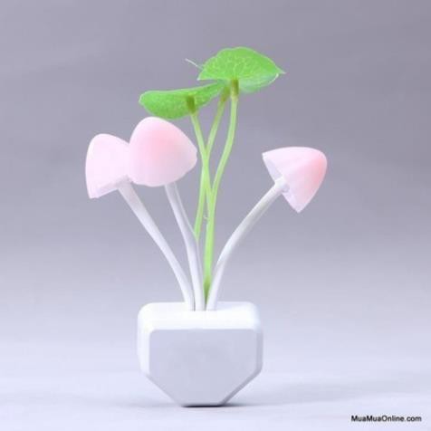 Đèn ngủ avatar hình nấm cảm ứng ánh sáng đổi màu procare, đèn ngủ hình nấm, đèn ngủ nấm, đèn ngủ đổi màu, đèn ngủ cho bé