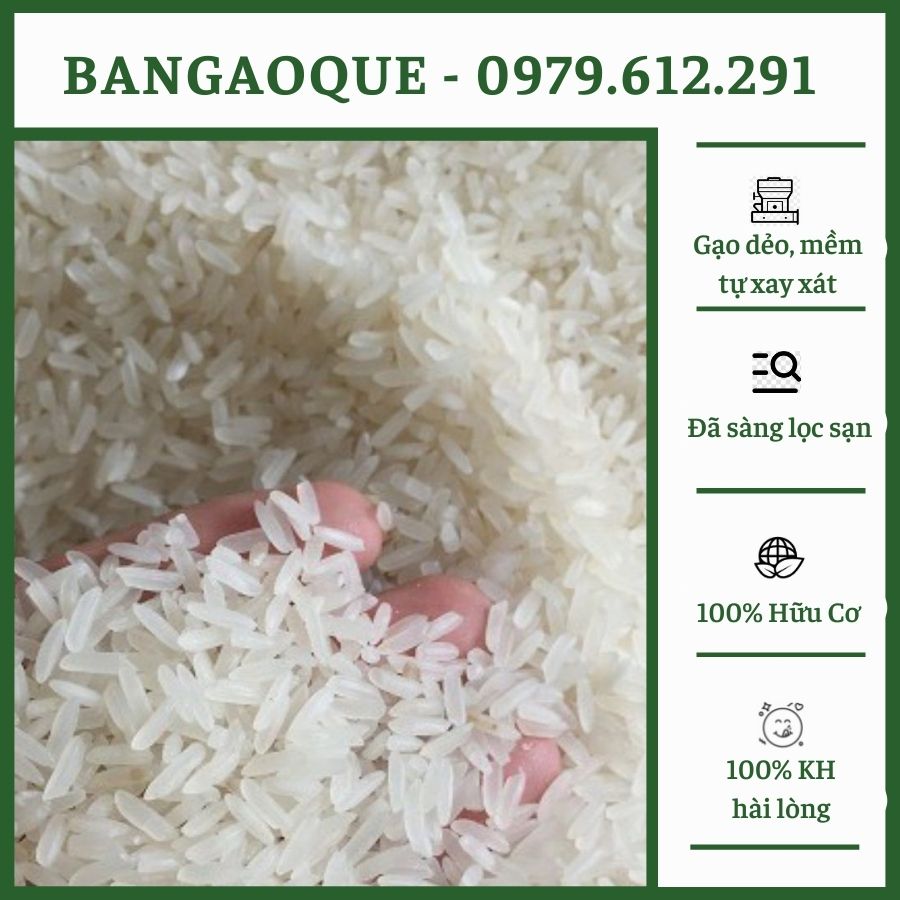 1Kg Gạo Bắc Thơm - Gạo Tám Thơm Vùng Lúa Thái Bình, Nam Định