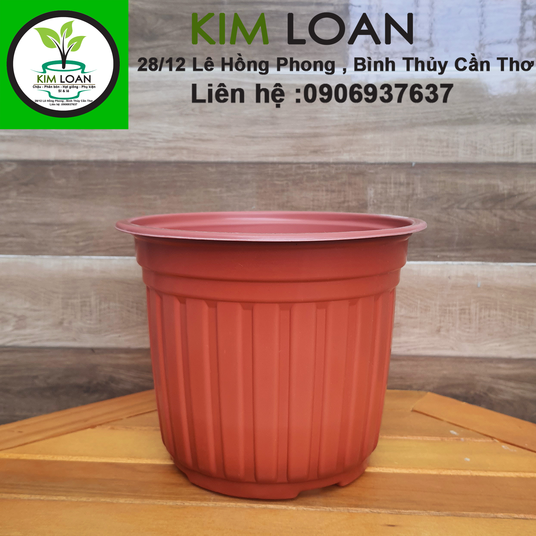 Combo 20 chậu nhựa tròn vành cứng C6 23x16cm