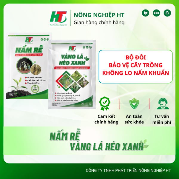 Nấm rễ + vàng lá héo xanh - chuyên xử lý nấm khuẩn trong đất, bảo vệ bộ rễ khỏe mạnh.