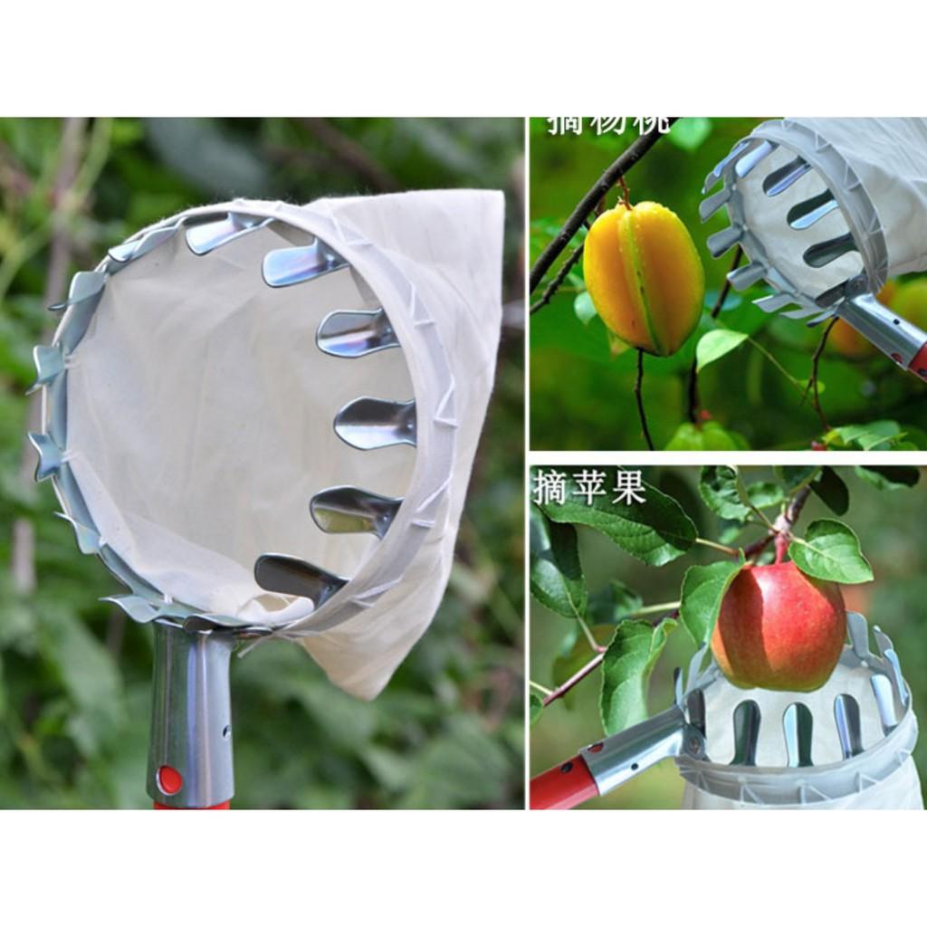 Dụng cụ hái quả, hái trái cây