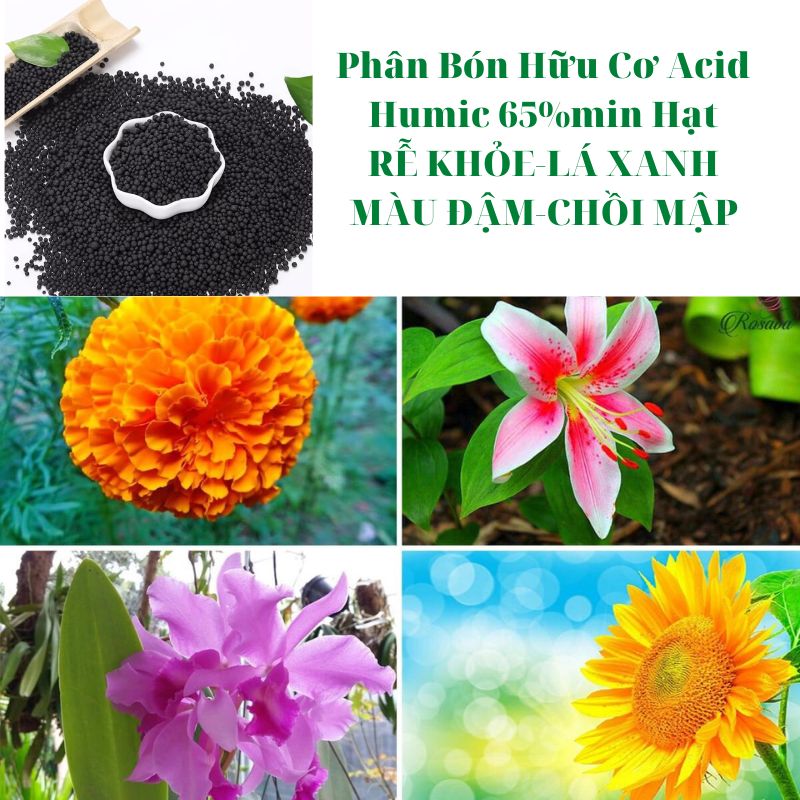 Humic - phân hữu cơ kích thích ra rễ
