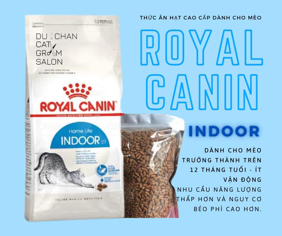 Royal Canin - Thức ăn hạt mèo trên 12 tháng