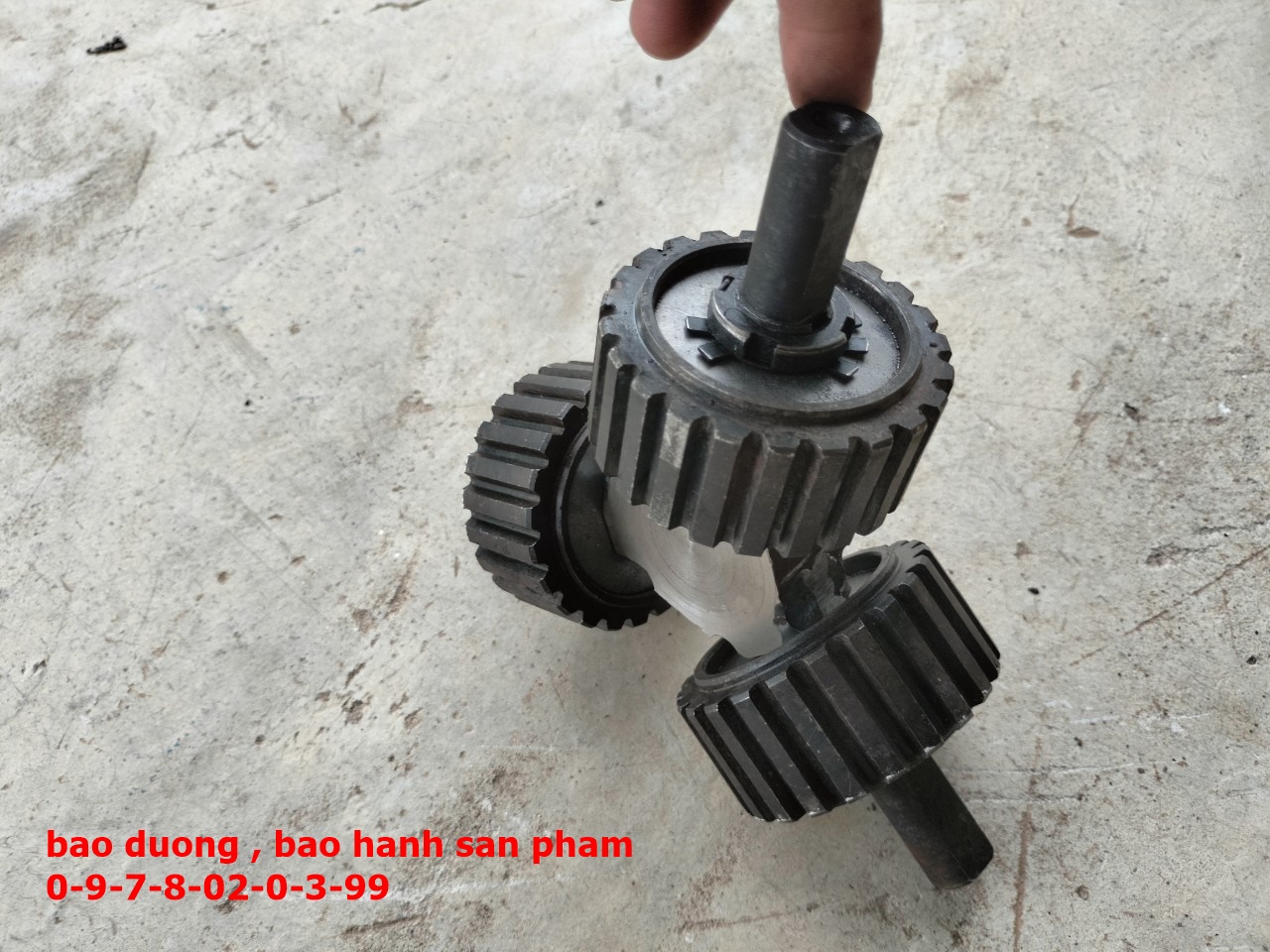 Quả lô lắp máy ép cám viên trục liền , dây coroa s160