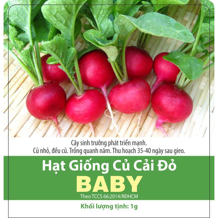 Hạt giống Củ Cải Đỏ Baby - Rau Củ
