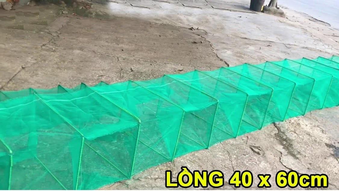 Lồng Bát Quái Cao 40cm x Rộng 60cm hàng chất lượng ( Ngu Long )