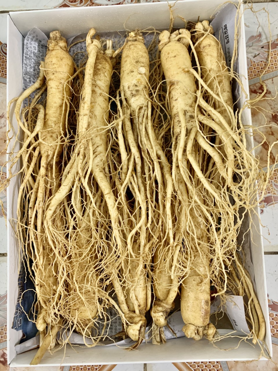Nhân Sâm Tươi Hàn Quốc 10 Củ- 1kg, Nhân Sâm Hàn Quốc, có tác dụng chống mệt mỏi, tăng cường bồi bổ sức khỏe, sâm hàn quốc, nhân sâm tươi hàn quốc, sâm tươi hầm gà, sâm tươi ngâm mật ong , Occar