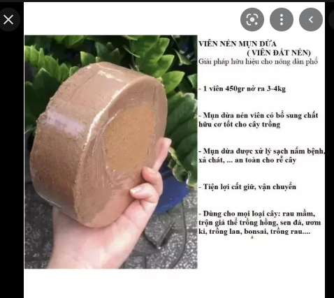 Đất trồng cây - viên nén mụn xơ dừa trồng rau,hoa cây cảnh