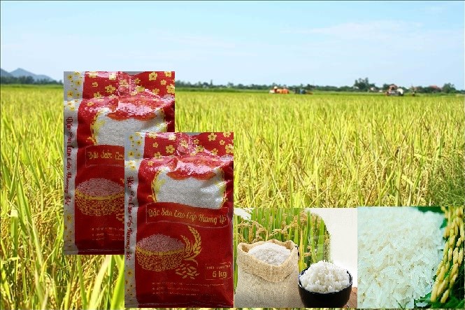 Gạo hương lài túi 5ký dẻo mềm cơm