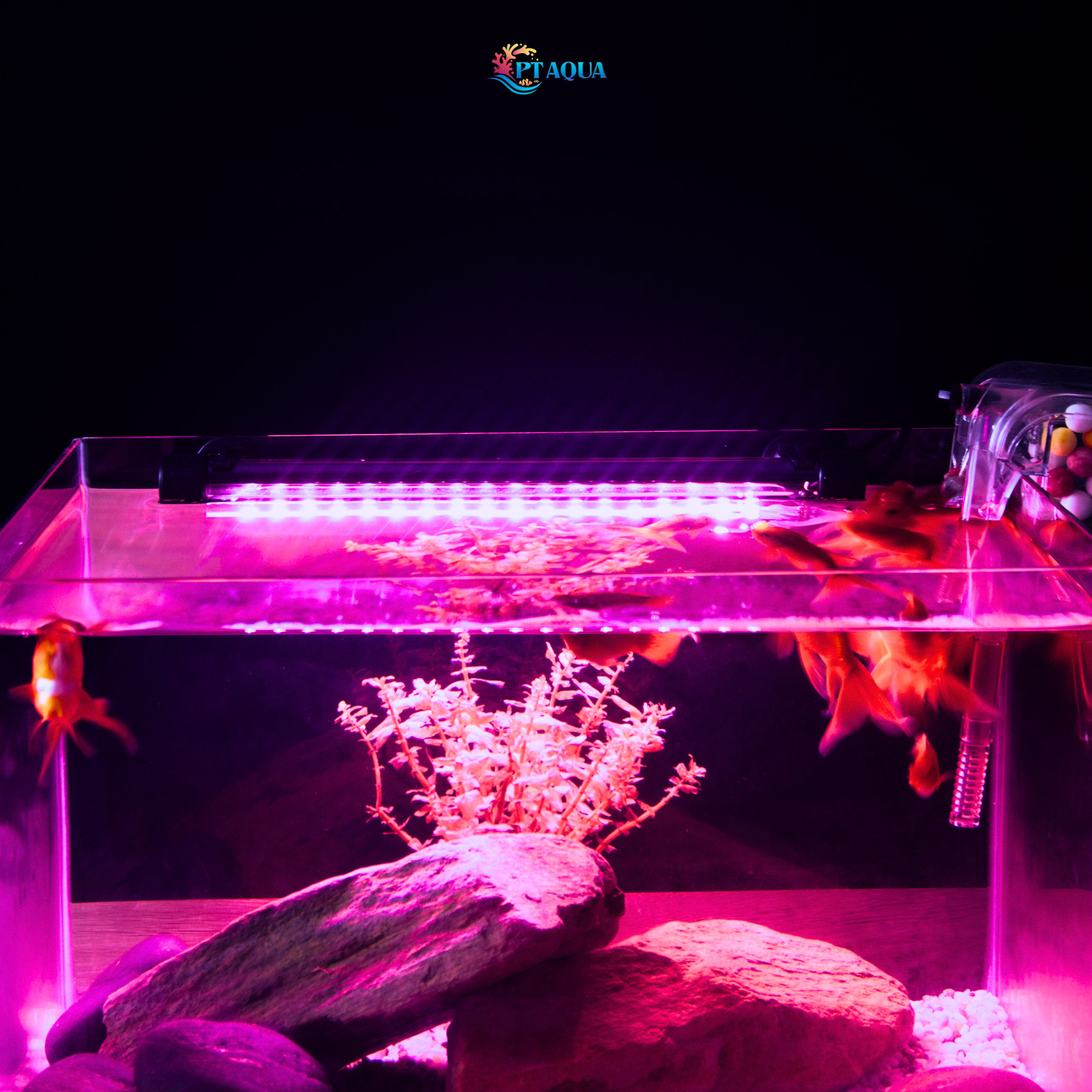 Đèn hồ cá 20cm - 80cm ĐÈN CHÌM ÁNH SÁNG HỒNG có công tắt điều chỉnh bật tắt