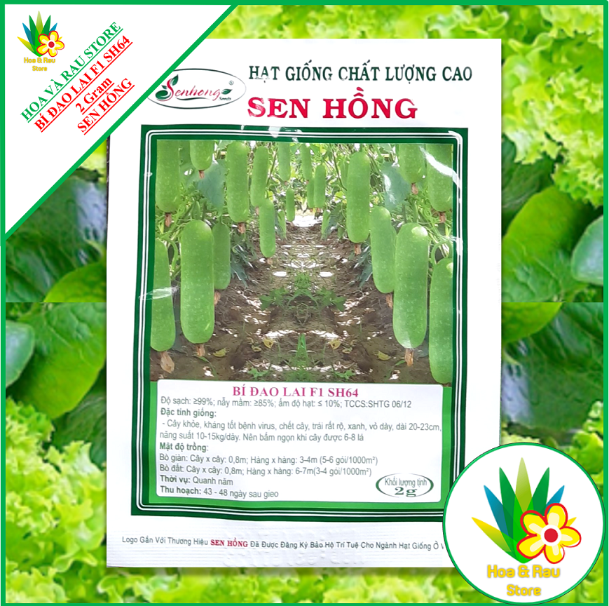 Hạt giống bí đao lai f1 sh64 - gói 2g - sen hồng - bí đao chanh - hoa và rau store - sh64