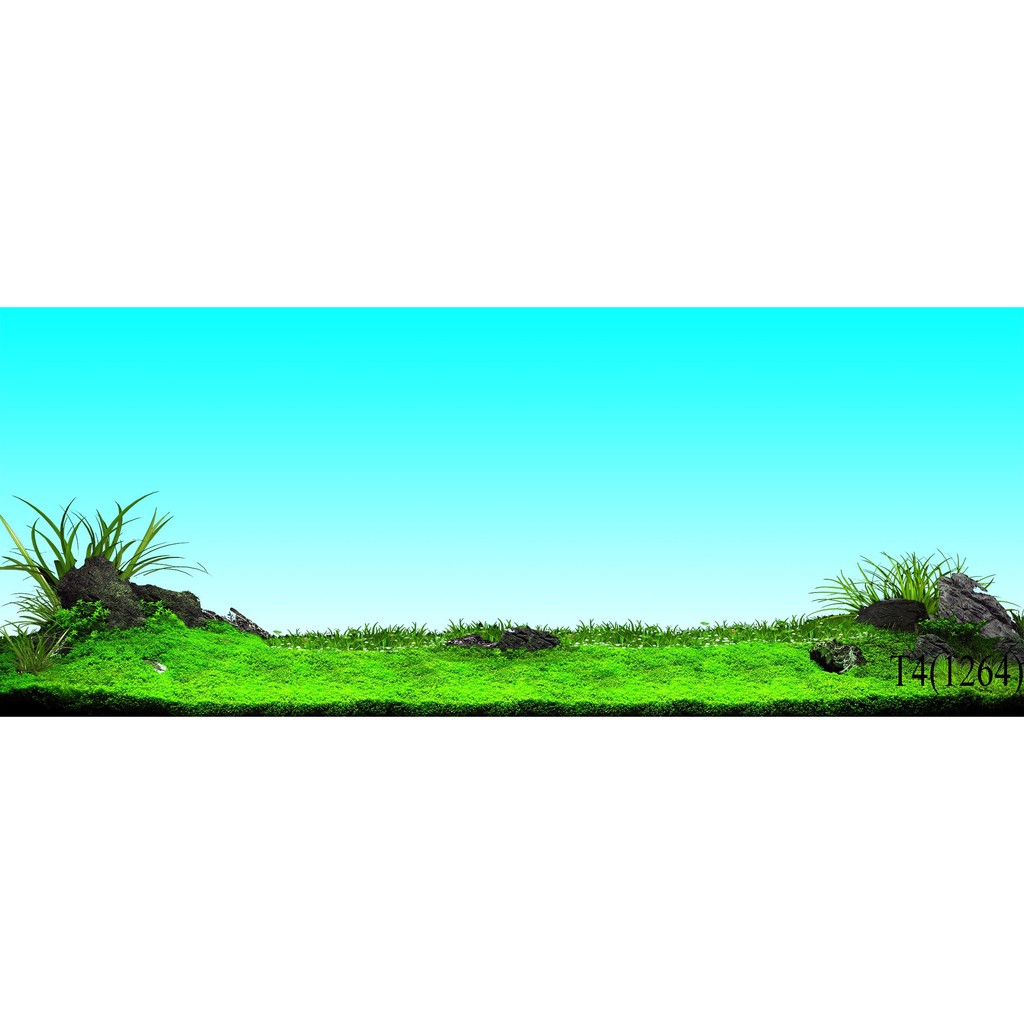 tranh 3d bể cá-1264